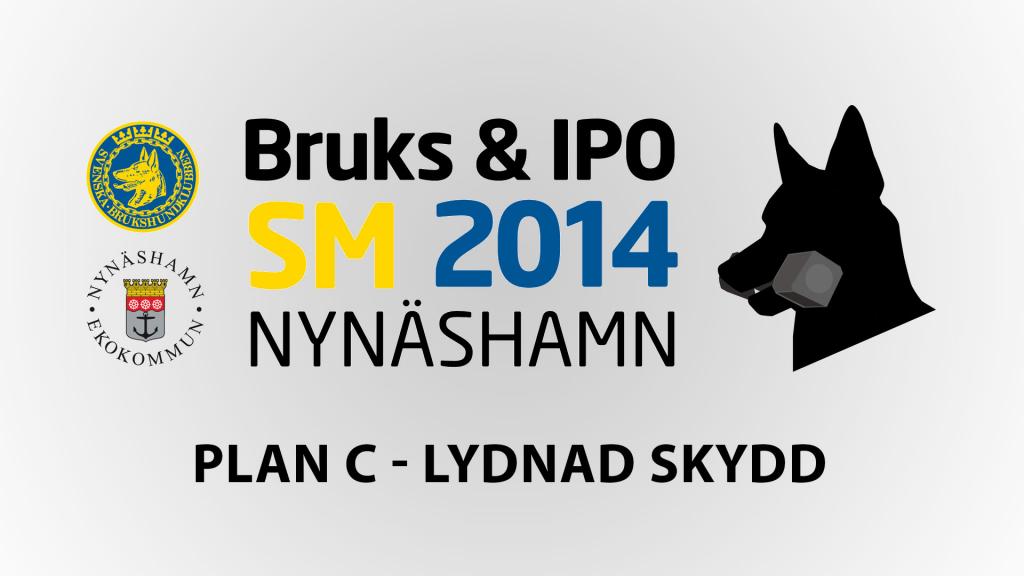 Lördag: Del 3: PLAN C - Lydnad skydd - 30 Aug 16:55