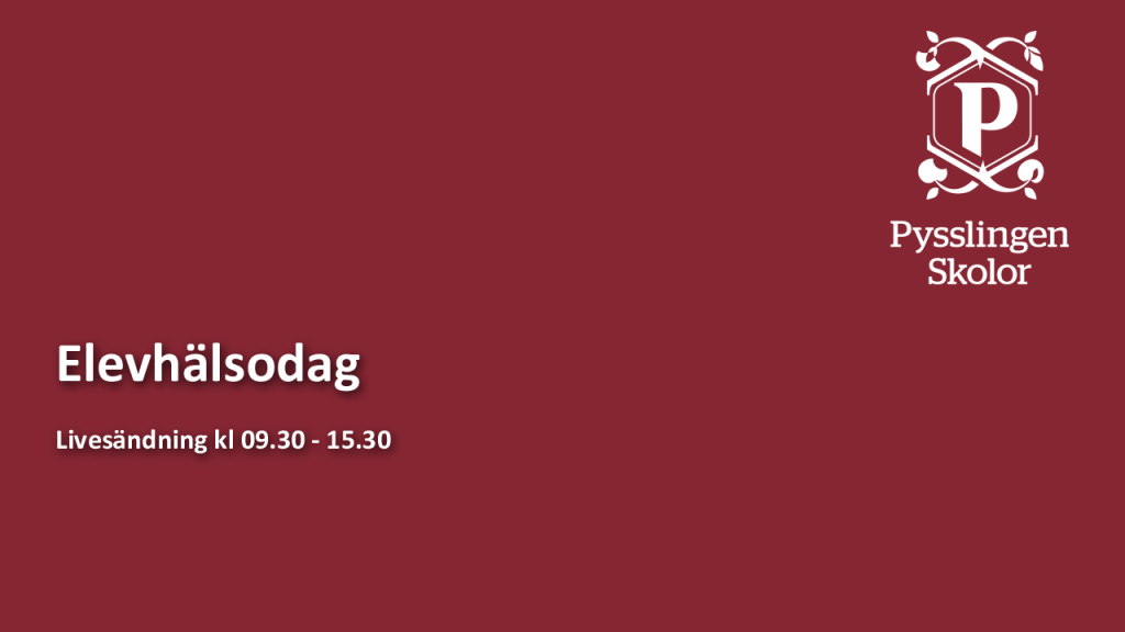 Pysslingen - Elevhälsodag 2016