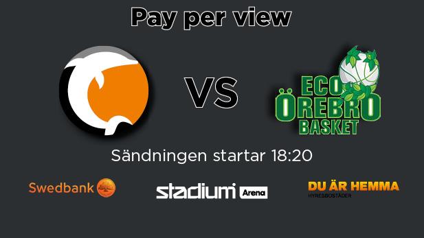 Dolphins Vs ecoÖrebro