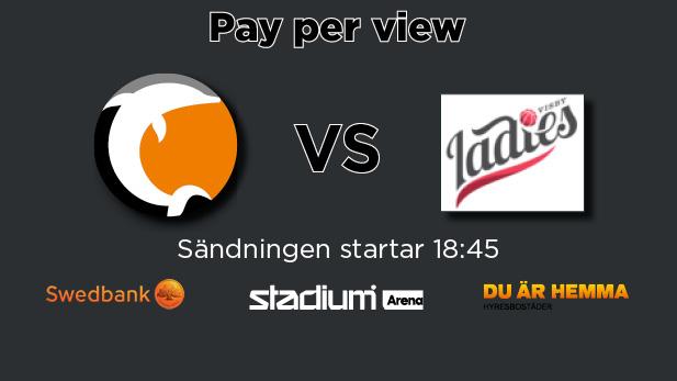 Dolphins VS Visby Ladies