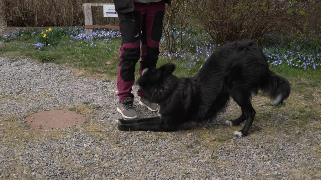 Personporträtt om Patrick Ulvbane