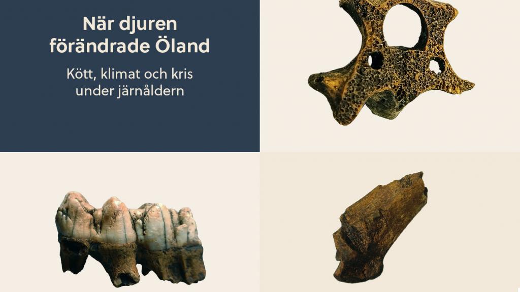 D7b20260 3356 4acd 87ed 39b310fd11dd