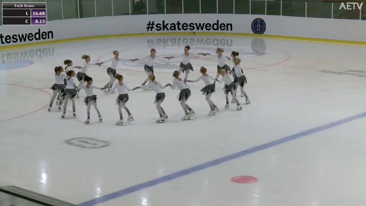 Skatesweden 1617