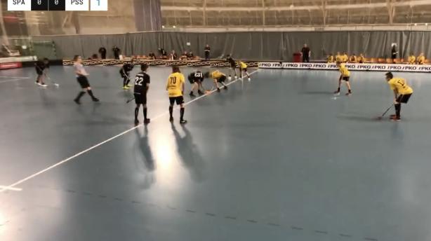 P15: SaiPa - PSS