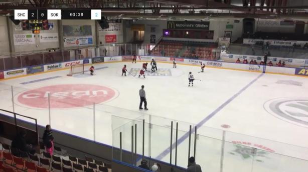 Svealand HC Vit - Sokol Kiev