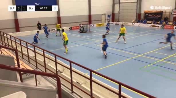 Blue Fox - Ilves