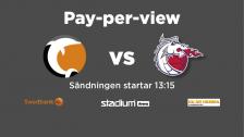 Dolphins vs Sundsvall Dragons