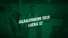 Julkalendern 2018 - Lucka 17