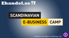 Scandinavian E-Business Camp 2013