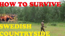 HOW TO SURVIVE THE SWEDISH COUTRYSIDE