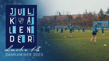 Kotschacks Julkalender 2023 Lucka 18 - Damkaminer 2023