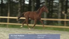 # 32 - Fast Redlane