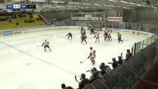 Highlights HC Dalen - Nybro Vikings IF 0-5