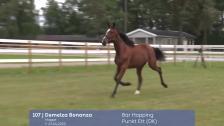 # 107 - Demelza Bonanza