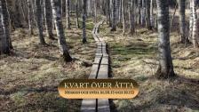 Kvart Över Åtta