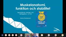 Muskelanatomi, Simidrottarutbildning 2020-12-07